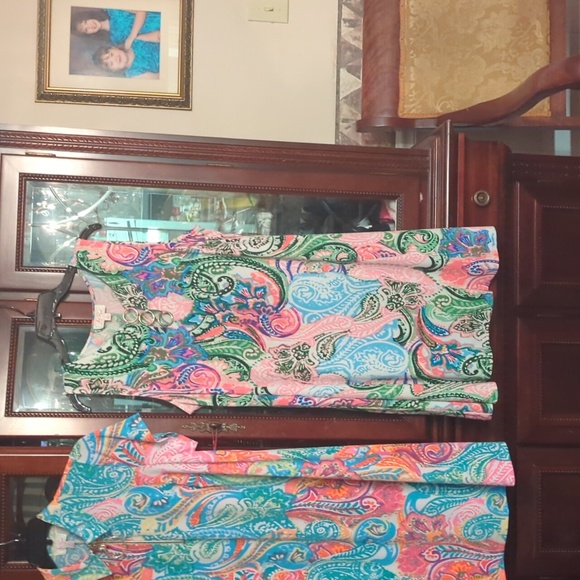 XL Ivy Road Dress - Picture 3 of 4